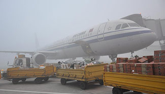 Rare heavy fog strands 20,000 at Chengdu airport