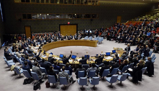 UN Security Council fails to adopt resolution on Aleppo truce