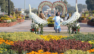 People visit the annual Chrysanthemum and Autumn Flowers Show in Pakistan