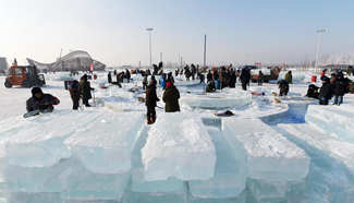 Harbin 2017 Ice-Snow World to start trial operation