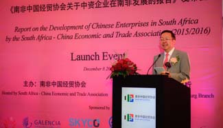 Spotlight: Chinese enterprises help improve living standards of South Africans