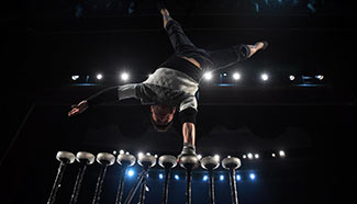 Acrobatic festival kicks off in central China