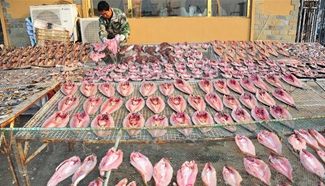 Fishermen dry fish at dock in E China
