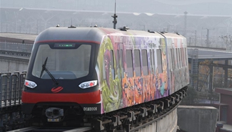 Graffiti artists decorate magnetic levitation trains in E China