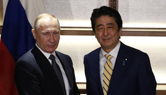 Abe, Putin discuss joint economic activities on islands amid territorial dispute