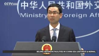 Beijing appreciates int'l support for One-China Policy