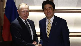 Putin meets with Abe to discuss territorial dispute