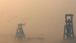 Heavy fog hits E China