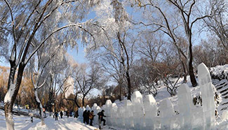 43th Harbin ice lantern carnival to open on Dec. 20