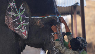 13th Elephant Festival marked in Sauraha, Nepal