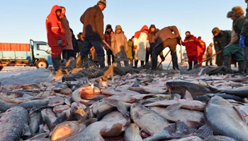 Winter fishing event held on Chagan Lake in NE China