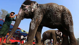 13th Elephant Festival held in SW Nepal
