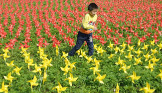 Guangxi installs pinwheels to greet upcoming New Year