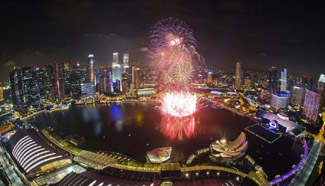 Singapore welcomes New Year with spectacular fireworks play
