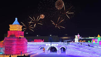 Harbin Ice and Snow World opens to public in NE China