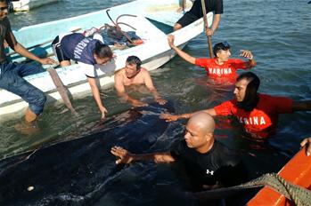 Local fishermen, First Naval Region staff help stranded whale in Mexico