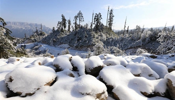 Snow-covered Longcanggou National Forest Park