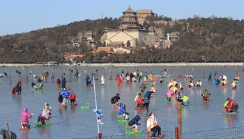 Park ice rinks open to public in Beijing