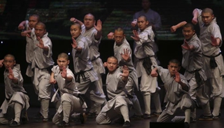 Shaolin Kung Fu performance staged in Palestine