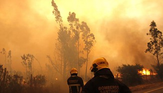 Chile battles worst forest fires in its history