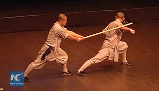 Amazing Shaolin Kung Fu show wows audience in Palestine