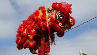 Lion dance performed to greet Chinese Lunar New Year in Cambodia