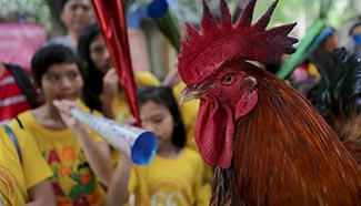 "Roosters of World" exhibition marks Lunar New Year in Philippines