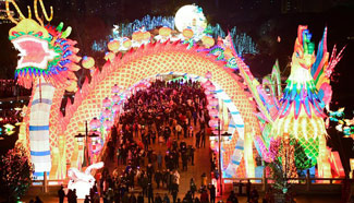 People view lanterns in NW China's Shaanxi