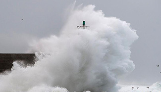 Surging waves beat against shore in NW Spain