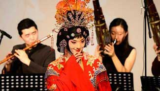 Chinese New Year Concert held in Pretoria, South Africa