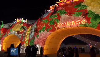 Winter Olympic Games-themed Lantern Fair in Beijing