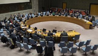 UN Security Council urges joint measures to protect "critical infrastructure" from terrorist attacks