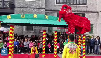 Amazing lion dance in south China