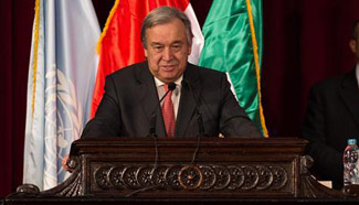 No "plan B" for Mideast two-state solution: UN chief