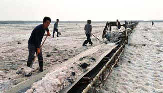 Workers shovel magnesium sulfate on salt lake of Yuncheng, N China