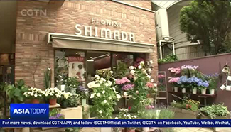 Cut Chrysanthemums top Japan's flower market