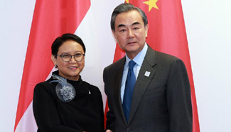 Chinese FM meets Indonesian counterpart on deepening ties
