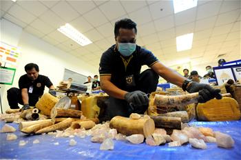 Thailand seizes 422 pieces of smuggled elephant tusks