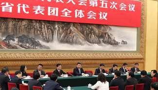 Xi orders fraudulent Liaoning Province to get real over economic data