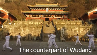 Wudang Kungfu master lifts himself with fingers