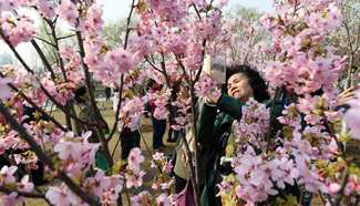 In pics: Spring scenery across China