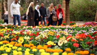Egyptian people visit Spring Flower Exhibition in Giza