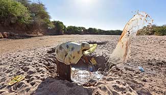 Humanitarian assistance urgently needed in Somali amid severe drought