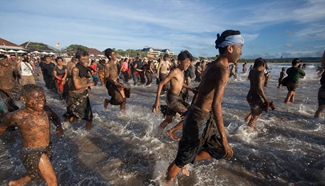 Traditional mud baths known as Mebuug-buugan held in Bali