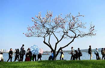 Qingming, a poetic Chinese festival