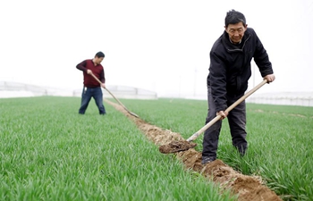 Farmers busy with farm work after "Qingming" around China