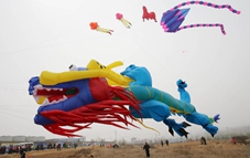 Kite competition held at Weifang in E China's Shandong