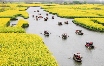 Tourists enjoy scenery of cole flowers on boats in east China's Jiangsu
