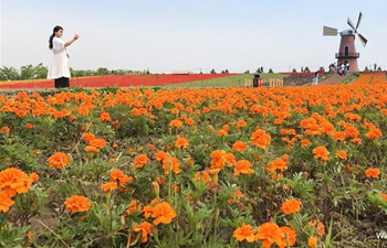 4th Flower Fest held in east China's Anhui