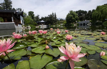 Scenery of Chinese garden Liu Fang Yuan in Los Angeles